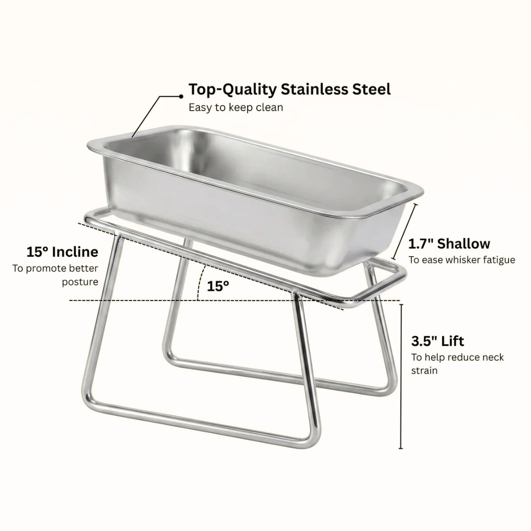 Altair™ Orthopedic Feeding Bowl