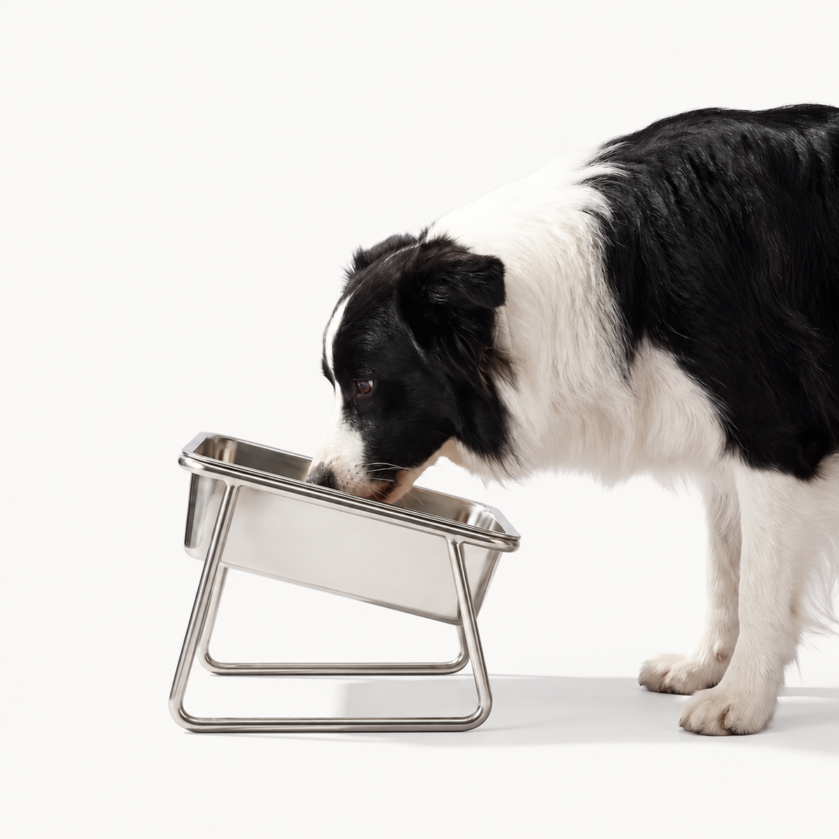 Altair™ Orthopedic Feeding Bowl