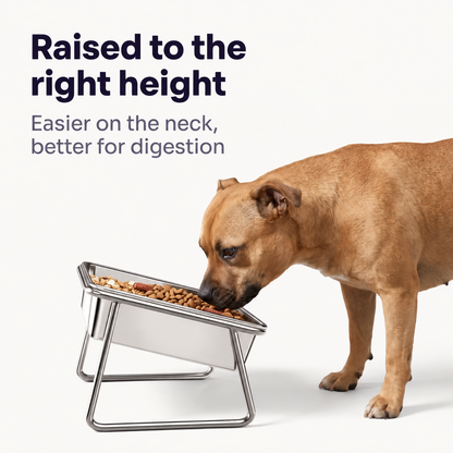 Altair™ Orthopedic Feeding Bowl
