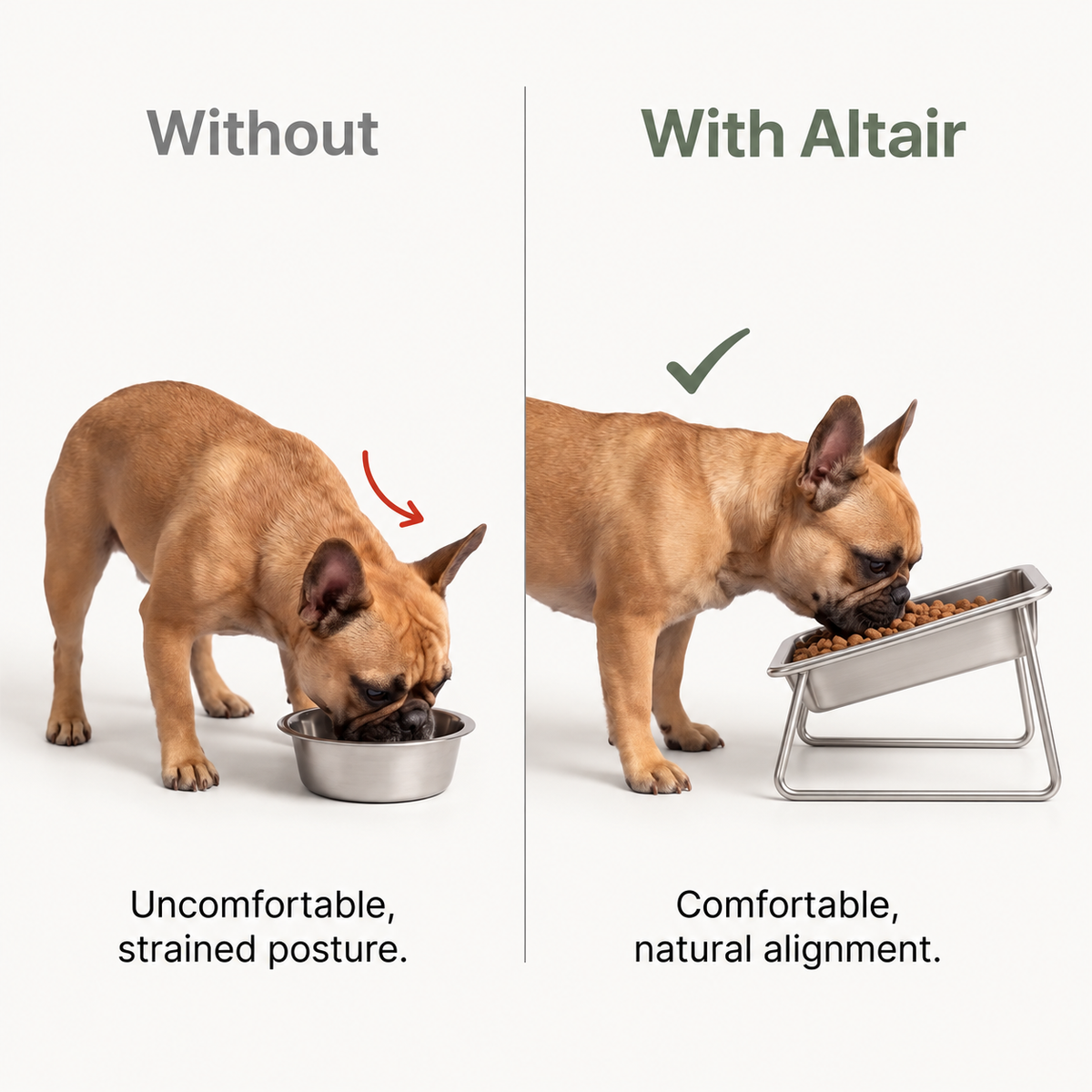 Altair™ Orthopedic Feeding Bowl