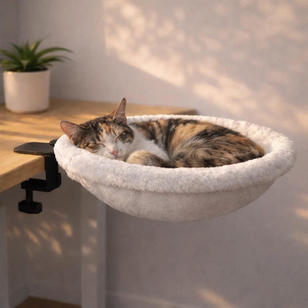 Cat Desk Bed