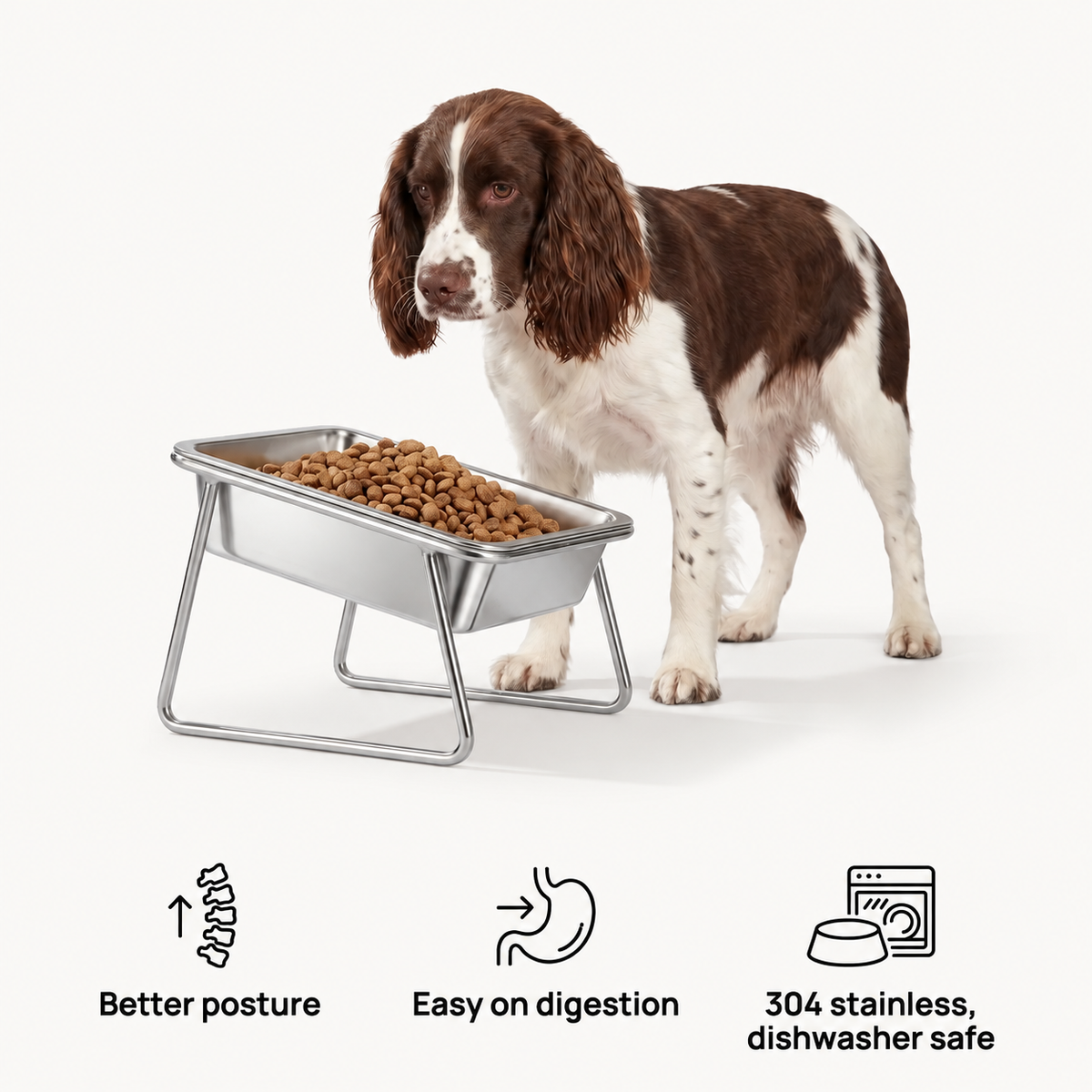 Altair™ Orthopedic Feeding Bowl