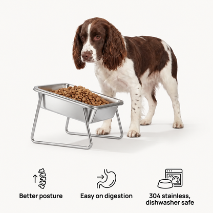 Altair™ Orthopedic Feeding Bowl